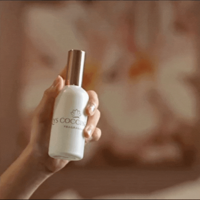 Room Sprays / Air Fresheners