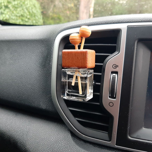Clip on car diffuser