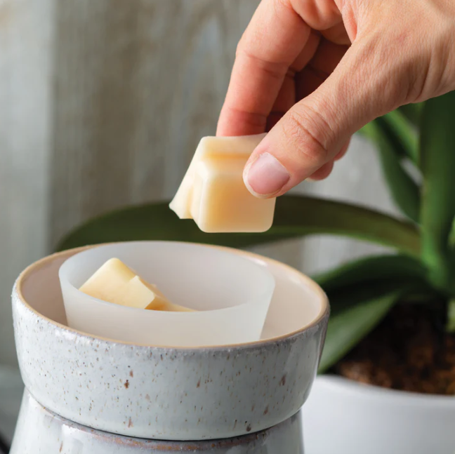 Iron & Clay Electric Wax Warmer