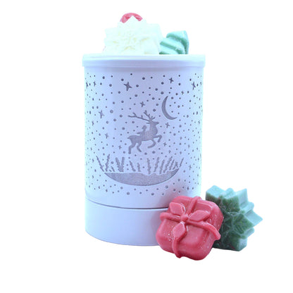 Electric Wax warmer / melter