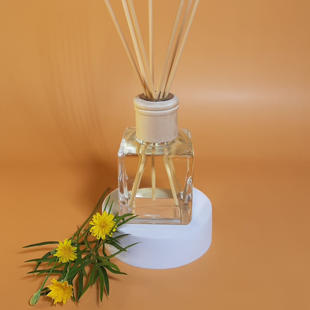 Holiday Collection Eco Reed Diffusers