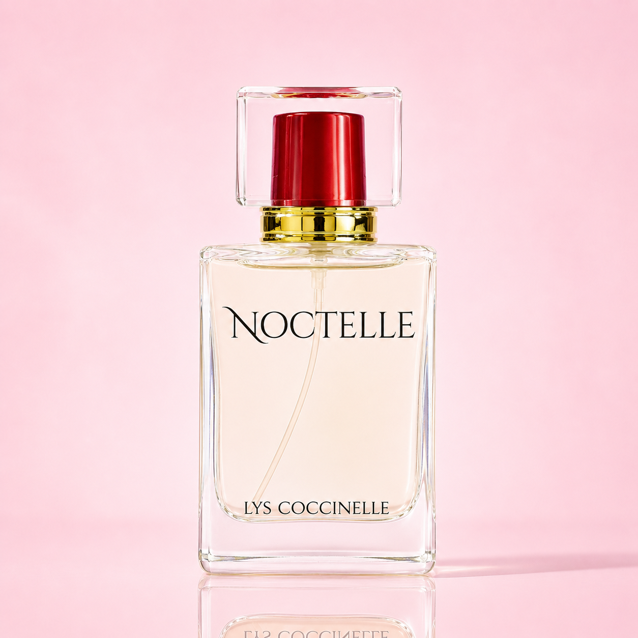 NOCTELLE perfume