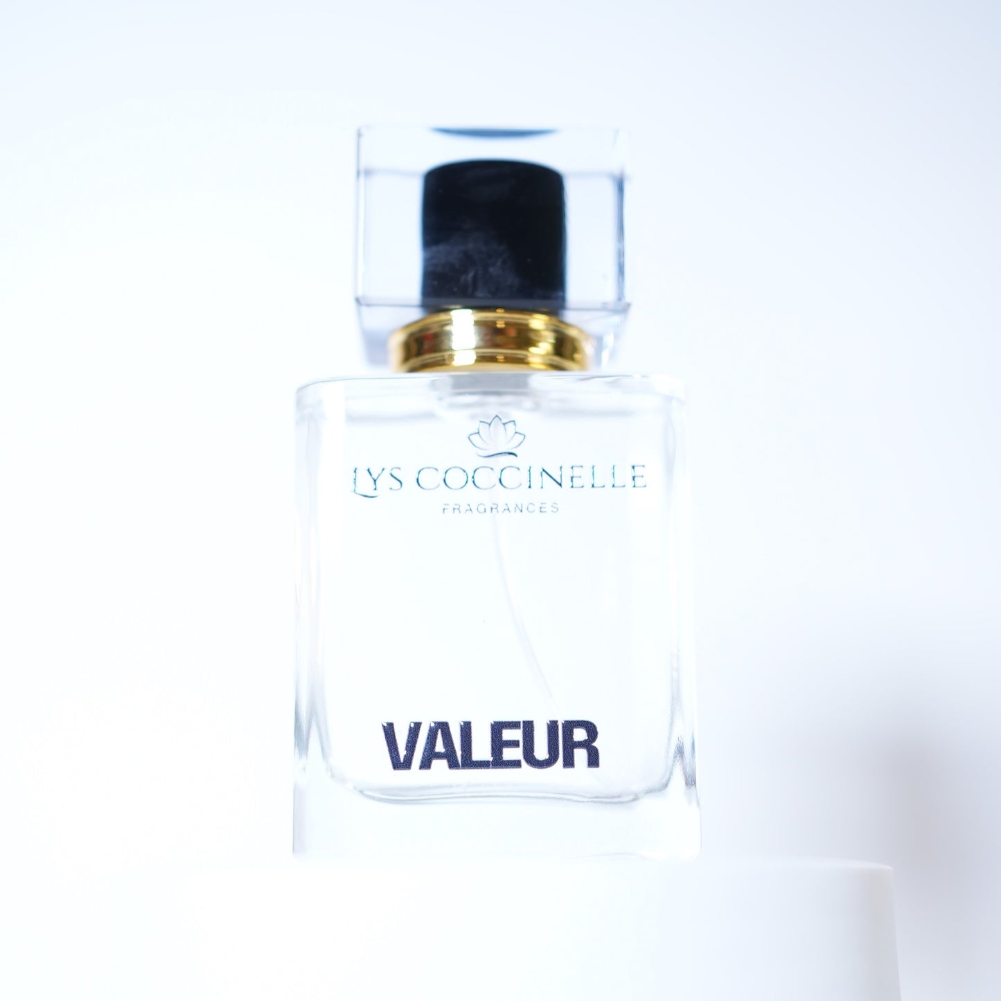 VALEUR Eau de Parfum (Inspired by Dior's Sauvage)