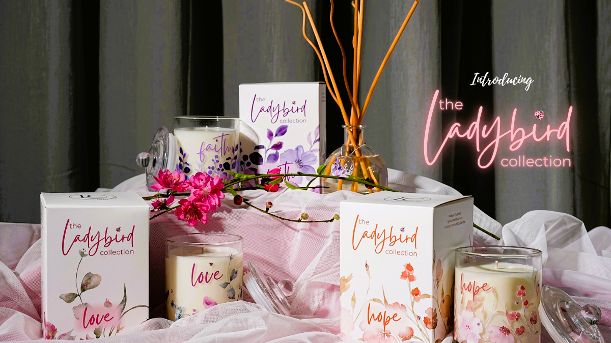 Ladybird Collection of candles and reed diffusers